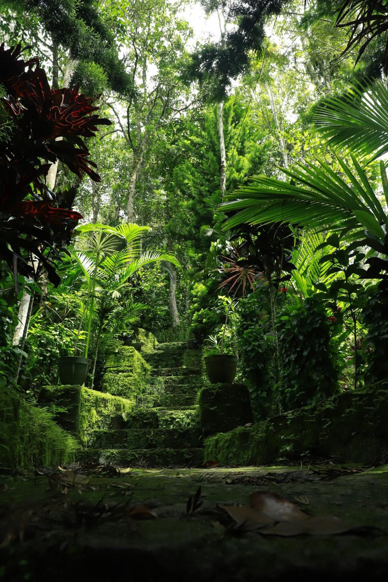 Nature Villa Anachal Luaran gambar